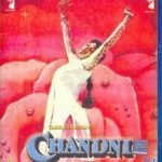 Chandni (1989) Sridevi, Rishi Kapoor, Vinod Khanna - Bollywood Blu-ray