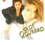 HOT RAVEENA CD Bollywood movie Compilation