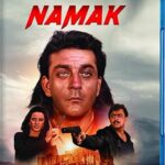 Namak (Blu-ray), Hindi Shoreline Ent,
