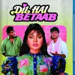 Dil Hai Betaab (Blu-ray), Shoreline Ent, Drama. Romance, Hindi