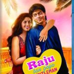 Raju Ban Gaya Gentleman (Blu-ray), Shoreline Ent, Drama. Romance, Hindi